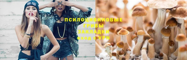 ГАЛЛЮЦИНОГЕННЫЕ ГРИБЫ Абдулино