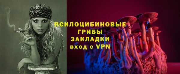 стафф Абаза