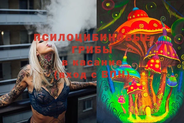 стафф Абаза