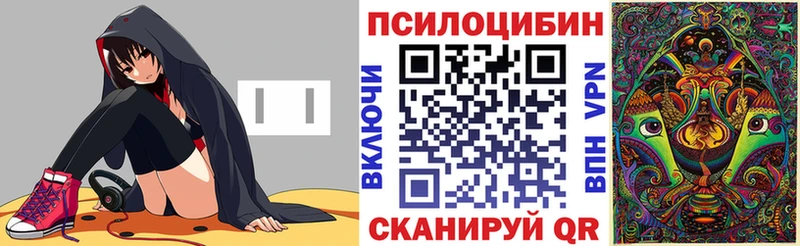 Галлюциногенные грибы Psilocybe Ермолино